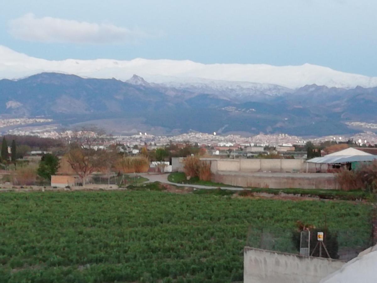 Ambroz Apartamentos La Vega De Granada מראה חיצוני תמונה